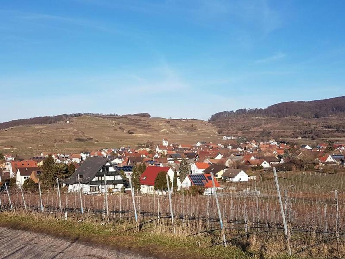 Feriendomizil Bergamini Apartment Bischoffingen Екстериор снимка